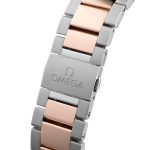 Omega Aqua Terra 38 mm Steel – Sedna™ Gold Watch
