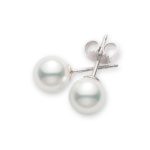 18ct White gold 6 – 6.5mm AA grade Mikimoto pearl stud earrings